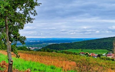 Lauf- und Nordic-Walking-Zentrum Wachau – Strecke 5: Römerweg