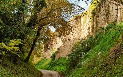 Der Themenweg “Löss und Wein” in Furth