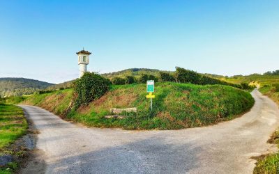 Von Wagram ob der Traisen nach Nußdorf (NÖ Wanderroute 83)