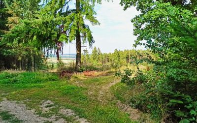 Der Heidweg im Wanderdorf Zemling