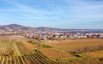 Weinbergrunde über den Süßenbergweg und den Strudlweg