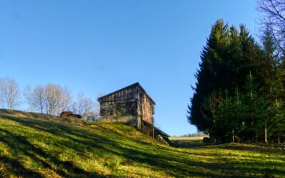 “Tut gut” Wanderweg Gerolding – Route 3: Hohes Kreuz Rundwanderweg “Hase”