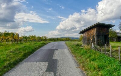 Der “Tut gut!”-Schritteweg “Gesundes Senftenberg” in Priel