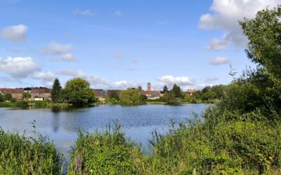 Rund um den Mühlenteich in Wismar